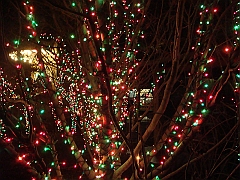 013 Toledo Zoo Light Show [2008 Dec 27]